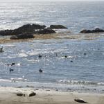 cambria_306 (November 03, 2018)